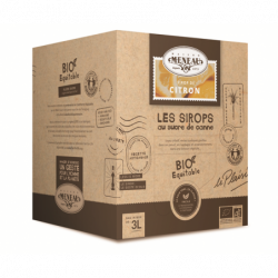 Sirop citron 3L