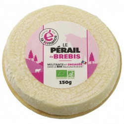 Brebis type Pérail au lait...