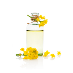 Huile de colza vierge bib 10l