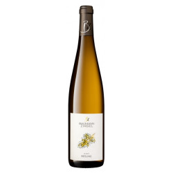 Vin blanc AOC Alsace...