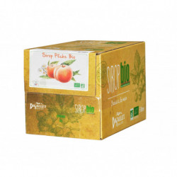 Sirop pêche bib 5L