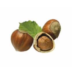 Purée de noisette 5 kg,...