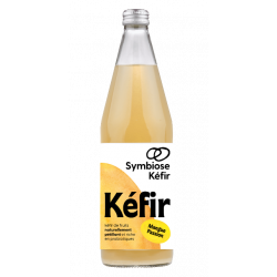 Kéfir de fruit, mangue...