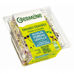 Graine germée alfalfa...