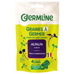 Graines à germer alfalfa 150g