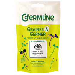 Graines à germer chou rouge...