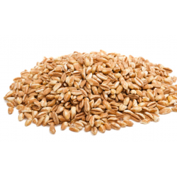Véritable petit épeautre 5kg