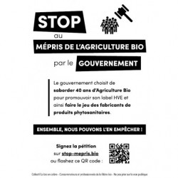 Flyer Stop au mépris de...