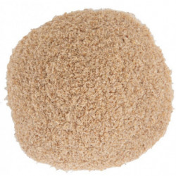 Psyllium blond teguments 2,5kg